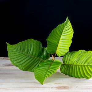 Discover the Best Kratom Vendors: Expert Picks for Top Quality and Service