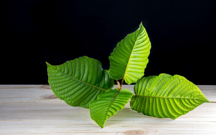 Discover the Best Kratom Vendors: Expert Picks for Top Quality and Service