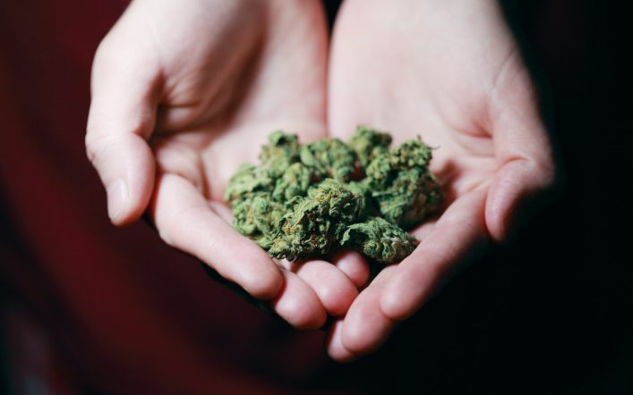 6 Tips for Maximizing the Effects of THCA Flower